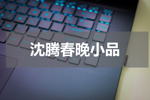 沈腾春晚小品