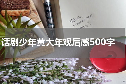 话剧少年黄大年观后感500字
