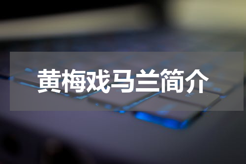 黄梅戏马兰简介