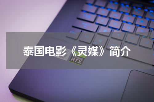 泰国电影《灵媒》简介