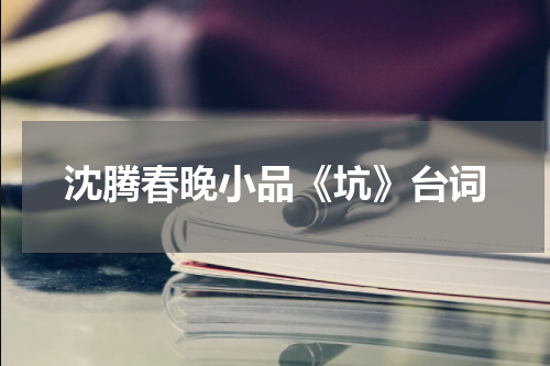 沈腾春晚小品《坑》台词