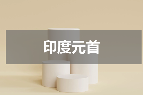 印度元首