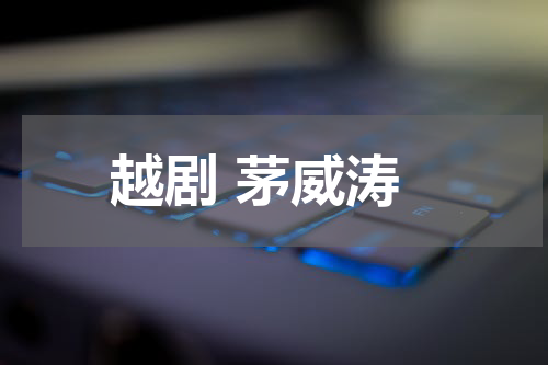 越剧 茅威涛