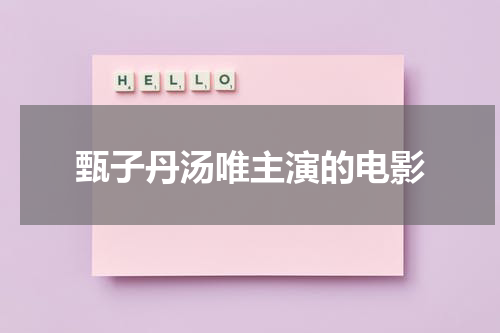 甄子丹汤唯主演的电影