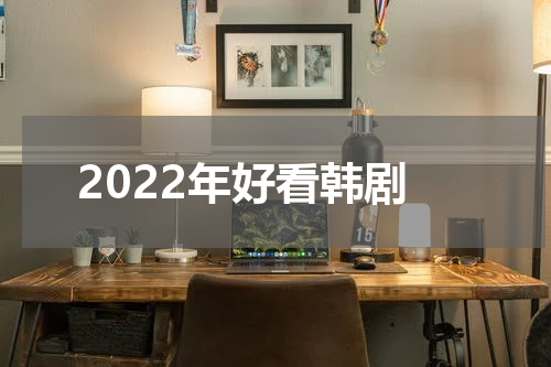 2022年好看韩剧