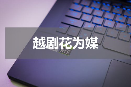 越剧花为媒