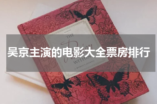 吴京主演的电影大全票房排行
