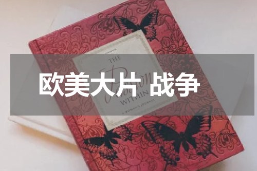 欧美大片 战争