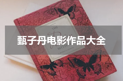 甄子丹电影作品大全