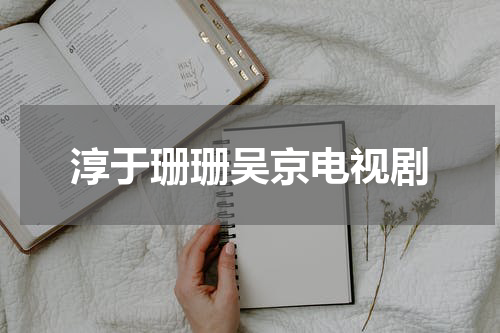 淳于珊珊吴京电视剧