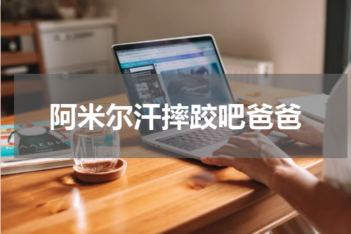 阿米尔汗摔跤吧爸爸