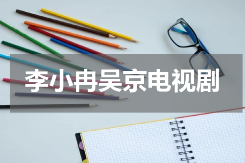 李小冉吴京电视剧