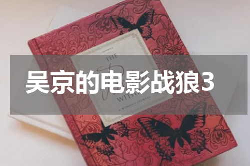 吴京的电影战狼3
