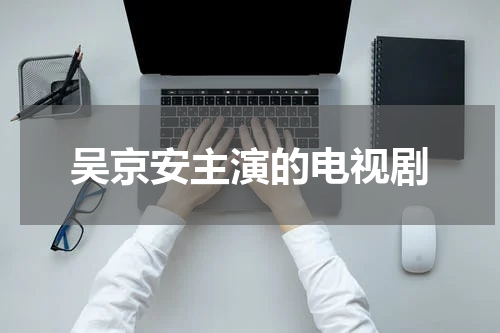 吴京安主演的电视剧