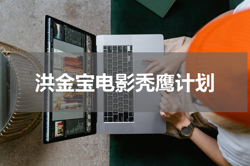 洪金宝电影秃鹰计划