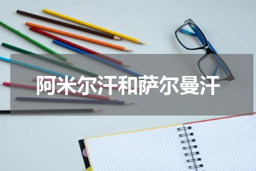 阿米尔汗和萨尔曼汗