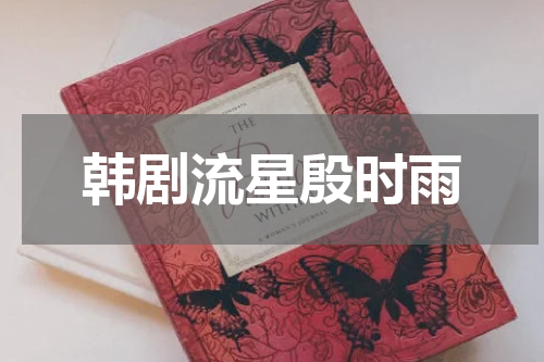 韩剧流星殷时雨