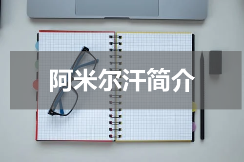 阿米尔汗简介