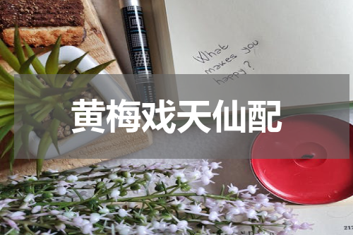 黄梅戏天仙配