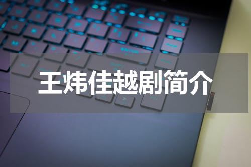王炜佳越剧简介