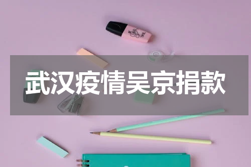武汉疫情吴京捐款