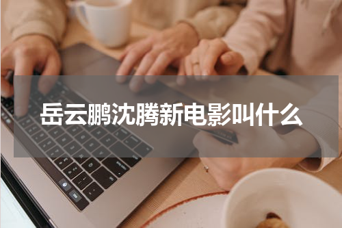 岳云鹏沈腾新电影叫什么