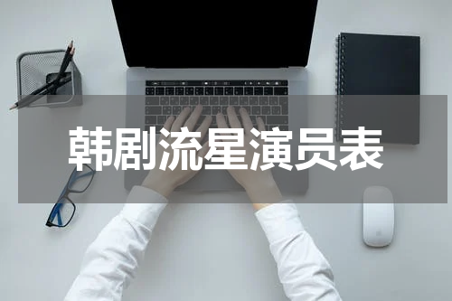 韩剧流星演员表