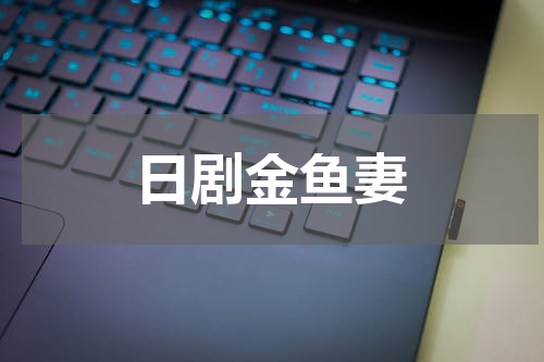 日剧金鱼妻
