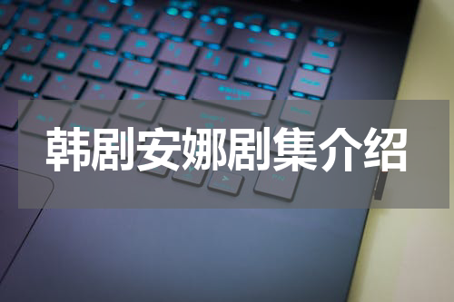 韩剧安娜剧集介绍