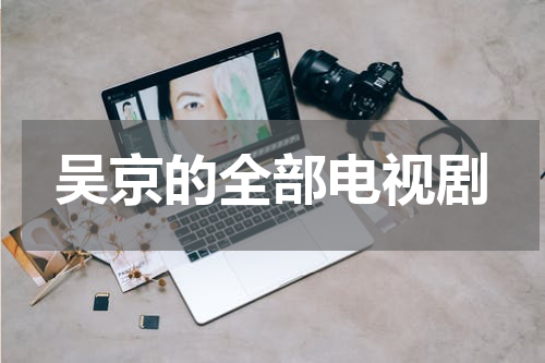吴京的全部电视剧