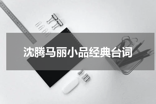 沈腾马丽小品经典台词