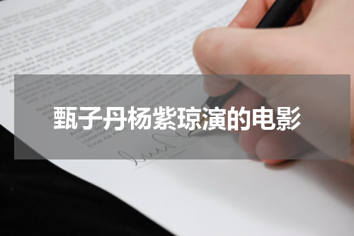 甄子丹杨紫琼演的电影