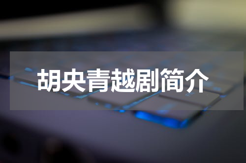 胡央青越剧简介