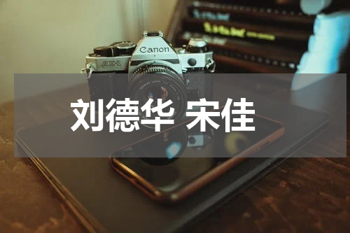 刘德华 宋佳