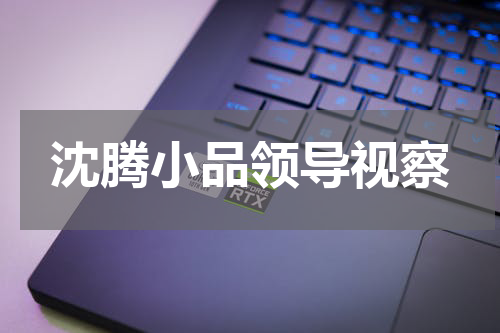 沈腾小品领导视察