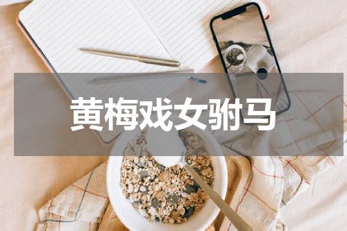 黄梅戏女驸马