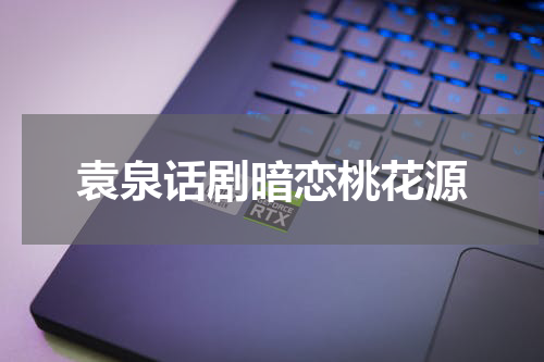 袁泉话剧暗恋桃花源