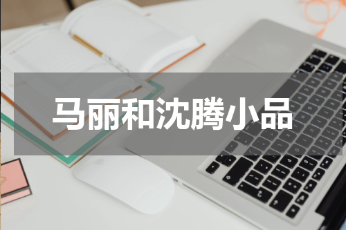 马丽和沈腾小品