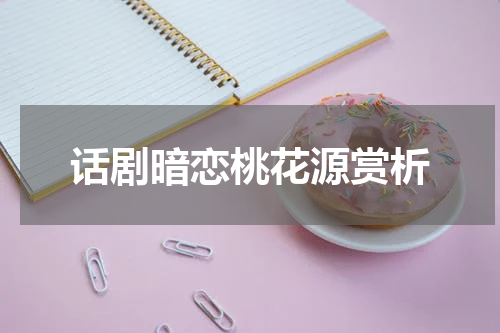 话剧暗恋桃花源赏析