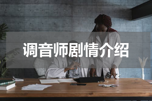 调音师剧情介绍
