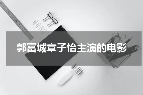 郭富城章子怡主演的电影