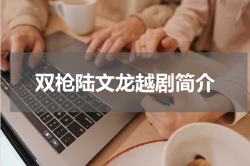双枪陆文龙越剧简介