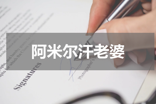 阿米尔汗老婆