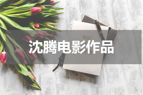 沈腾电影作品