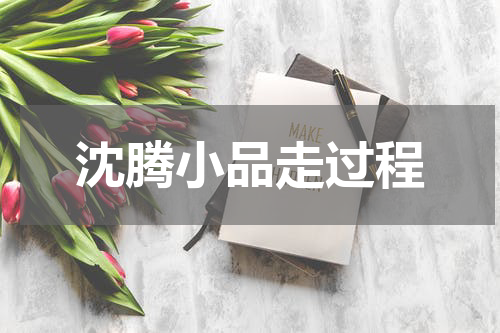 沈腾小品走过程