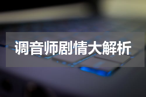 调音师剧情大解析