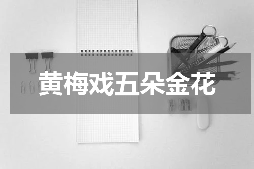 黄梅戏五朵金花