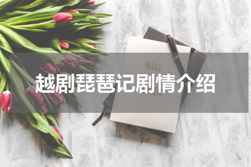 越剧琵琶记剧情介绍