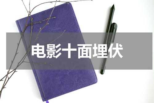 电影十面埋伏