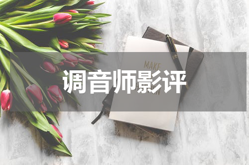 调音师影评